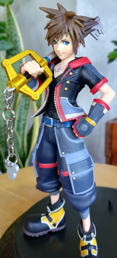 picture of Sora only